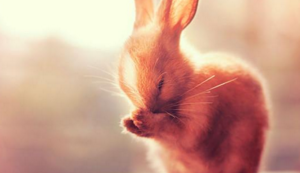 勇士再挫对手！金州队员全力以赴